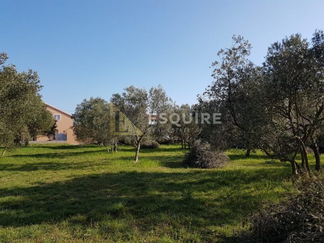Działka na sprzedaż 961 m² – Sukošan