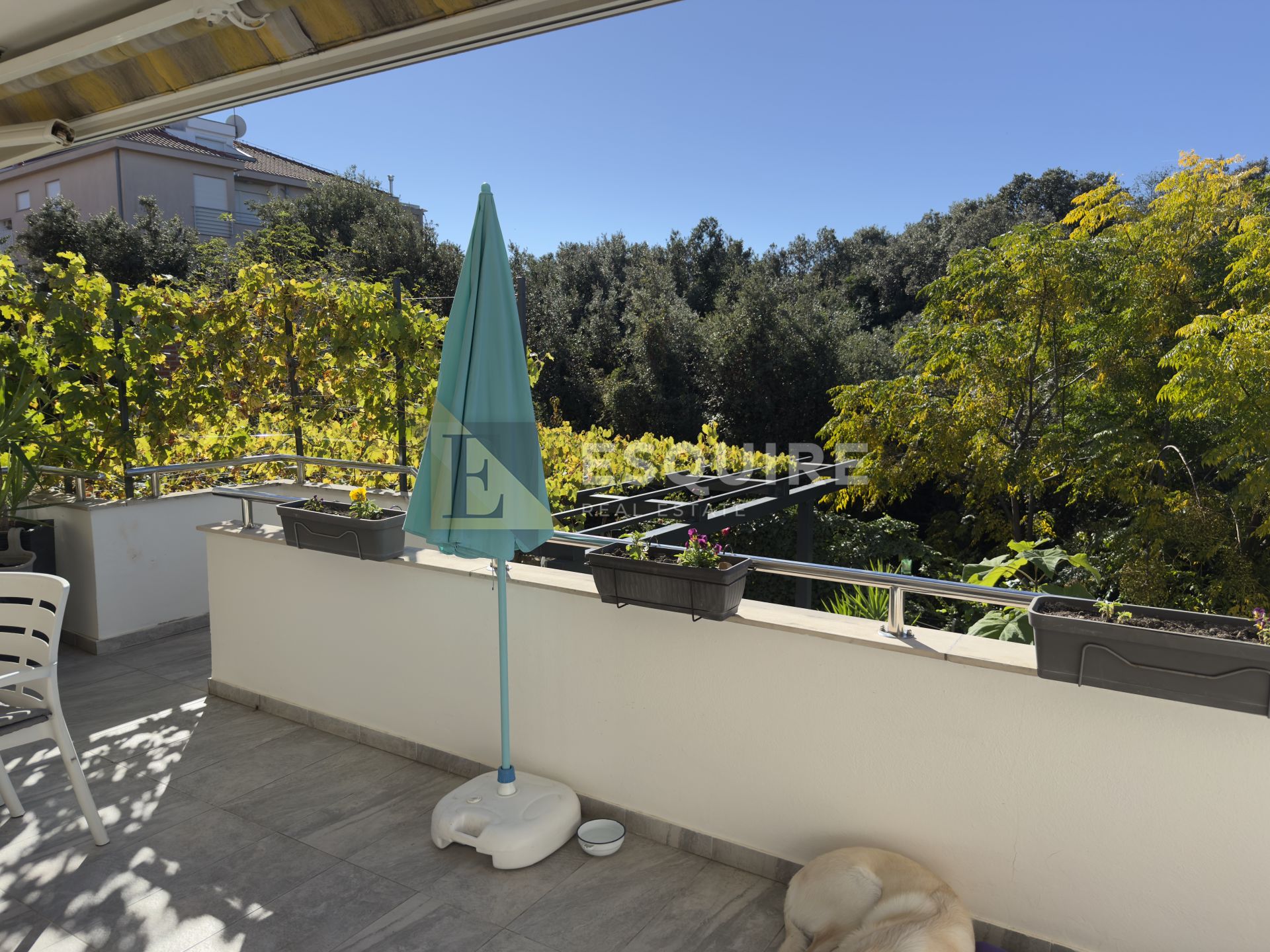 Apartment Zu verkaufen -  Diklo