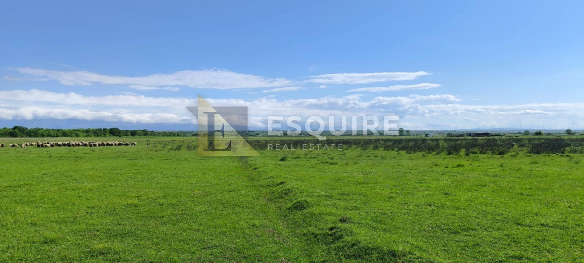 Terrain À vendre -  Zemunik Donji