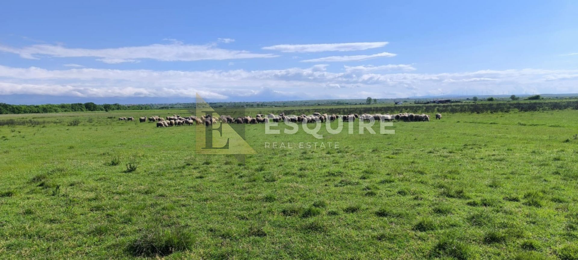 Terrain À vendre -  Zemunik Donji