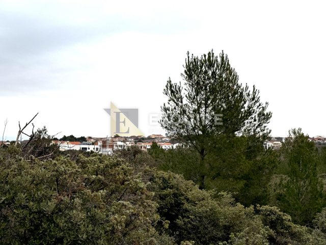 Land For sale - Zadarska Mulo - foto 3/4