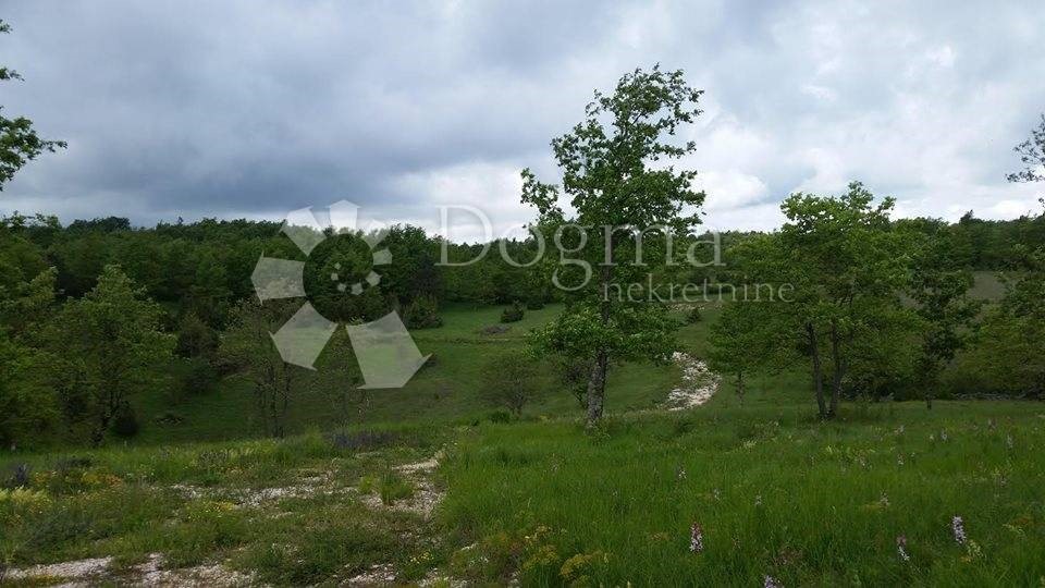 Land For sale - ISTARSKA  PAZIN 