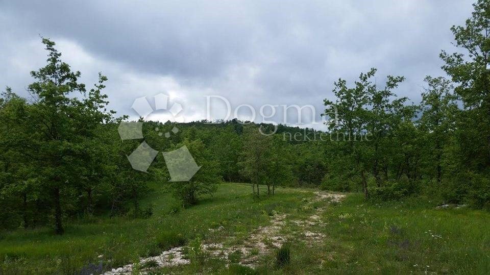 Land For sale - ISTARSKA  PAZIN 