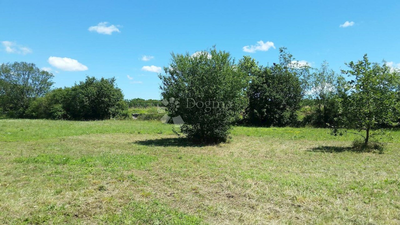 Land For sale - ISTARSKA  SVETVINČENAT 