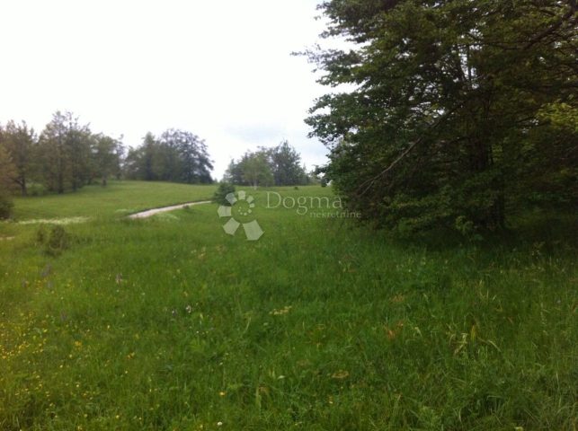 Terrain à vendre 15000 m² – Delnice
