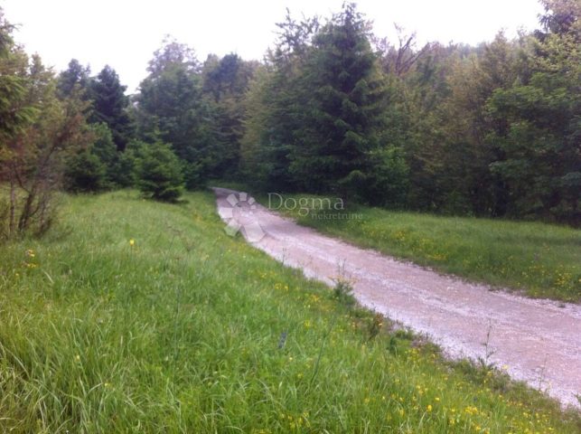 Land For sale - Primorsko-goranska Delnice - foto 3/3