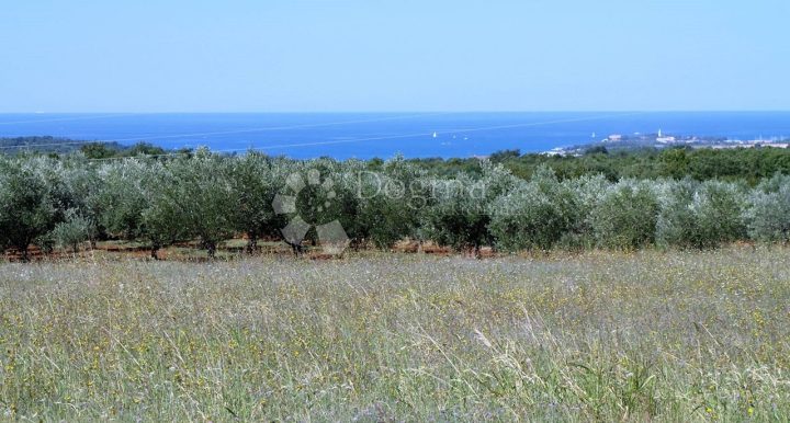 Terrain à vendre 80112 m² – Rogovići