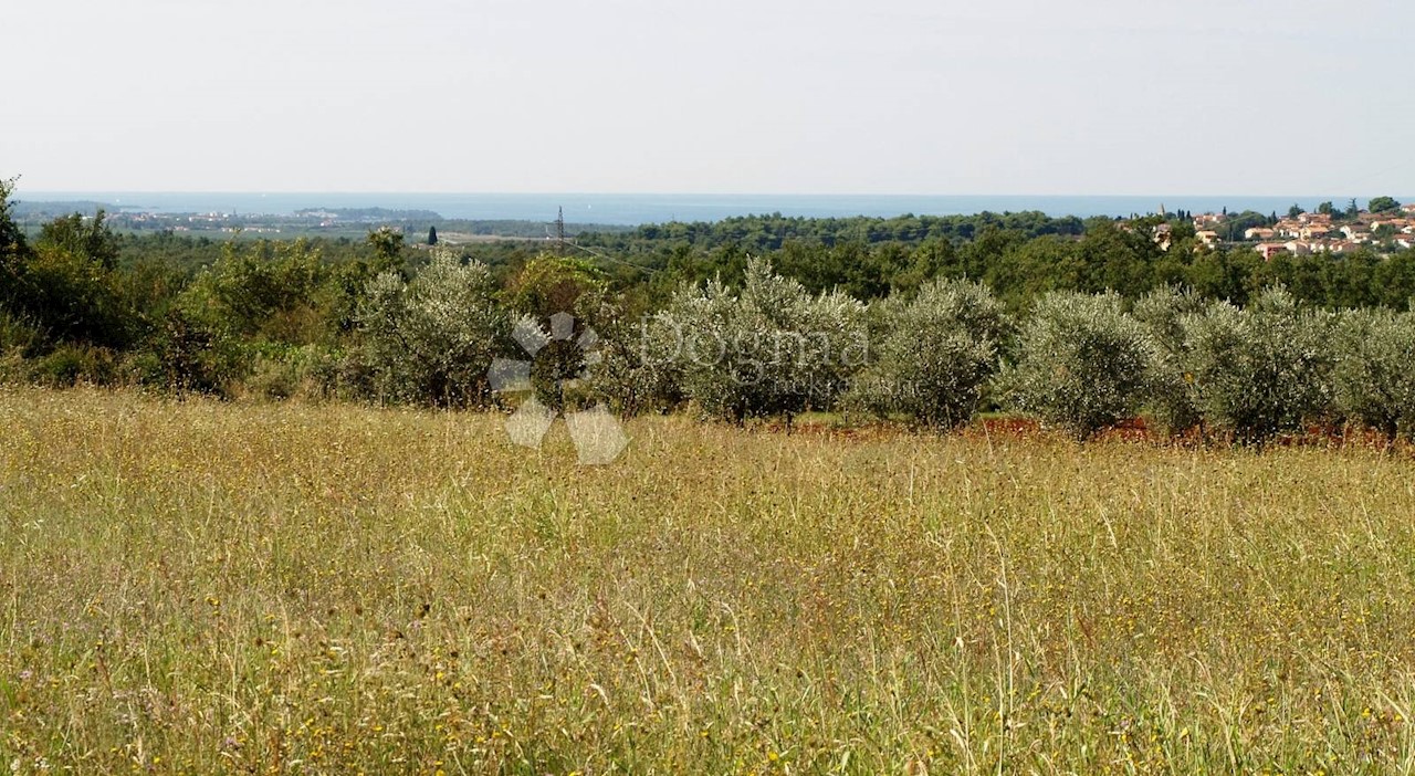 Parcela Naprodaj - ISTARSKA  Kaštelir