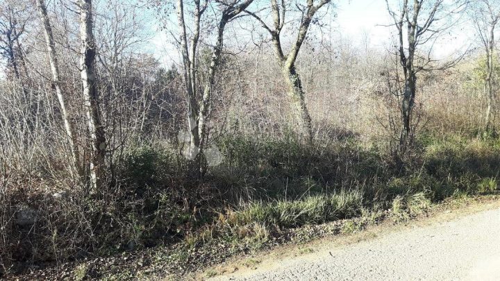 Działka Na sprzedaż - Istarska Marčana - foto 5/7