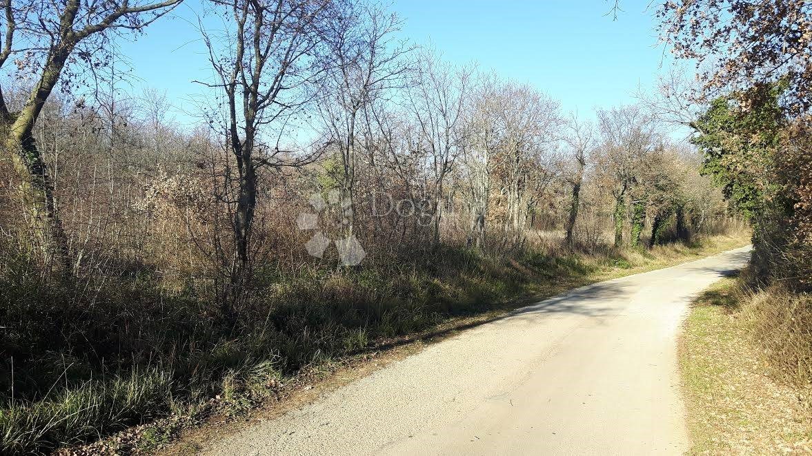 Terreno In vendita - ISTARSKA  MARČANA 