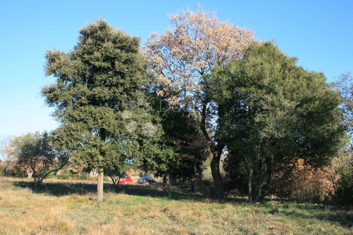 Land For sale - Istarska Rovinj - foto 5/11
