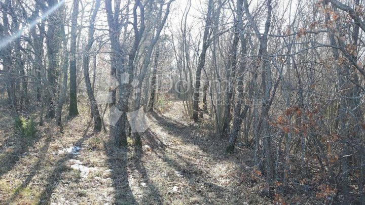 Parcela na predaj 35000 m² – Santalezi