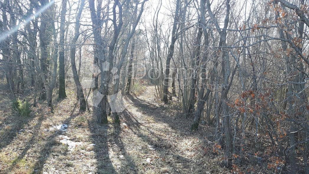 Działka Na sprzedaż SANTALEZI