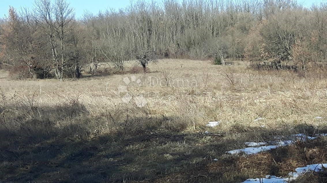 Parcela Na predaj - ISTARSKA  SVETA NEDELJA 