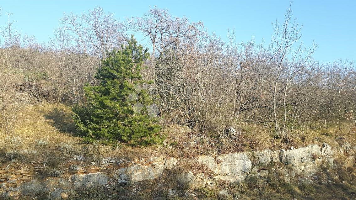 Land For sale - ISTARSKA  RAŠA 