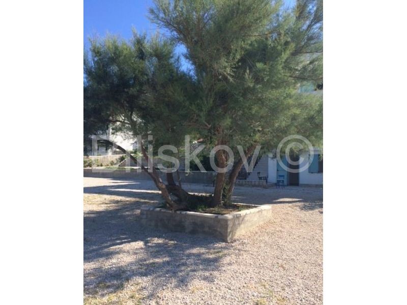 House For sale - ZADARSKA  PAG 