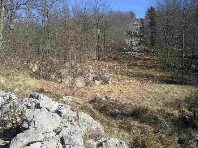 Land for sale 5612 m² – Klana