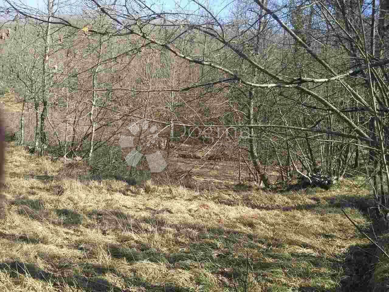 Land For sale - Primorsko-goranska Klana - foto 2/5