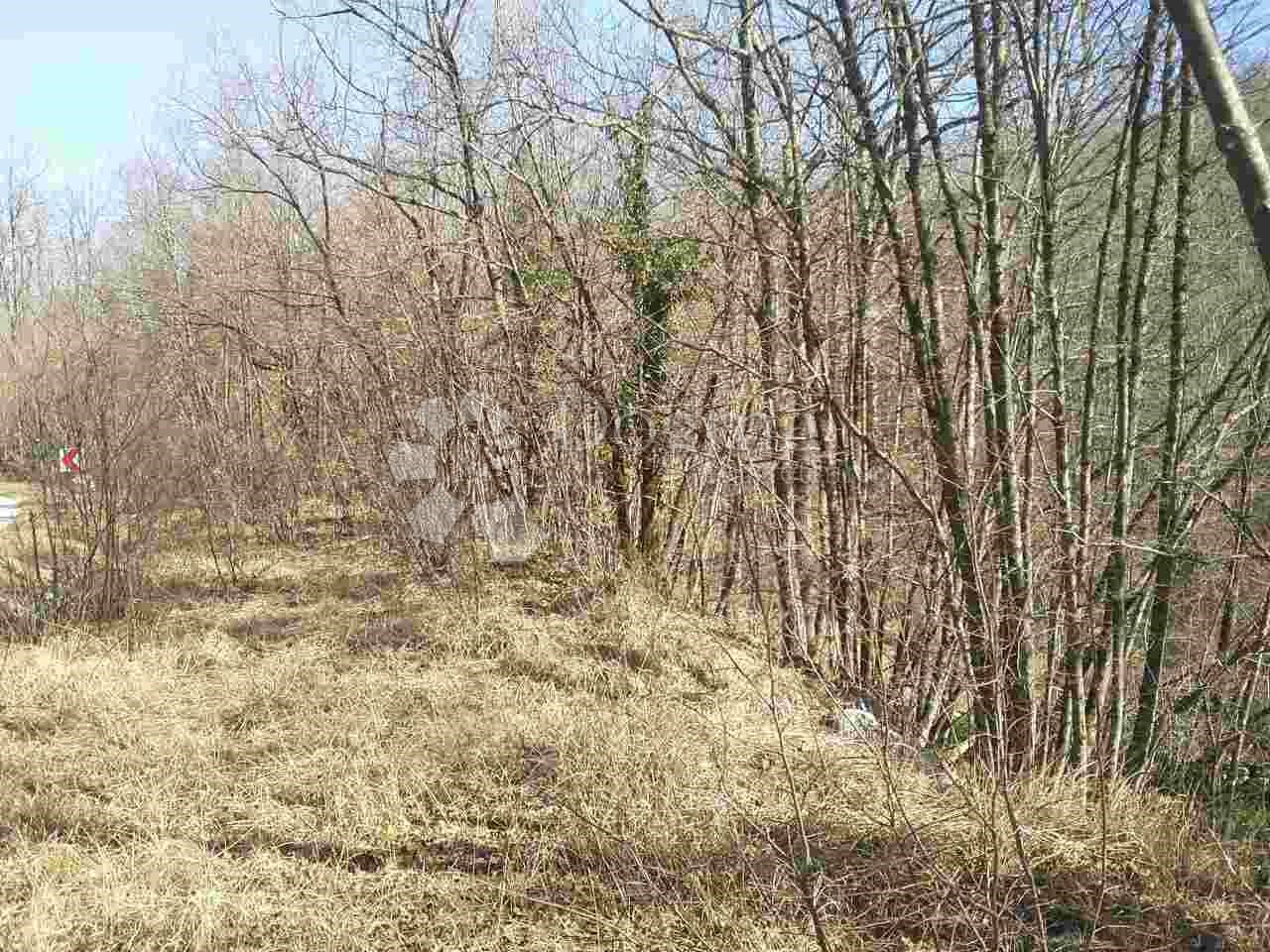 Land For sale - Primorsko-goranska Klana - foto 4/5