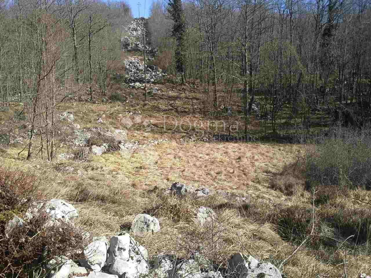 Land For sale - Primorsko-goranska Klana - foto 5/5