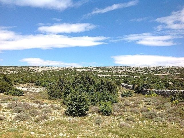 Terreno In vendita - Zadarska Pag - foto 4/5