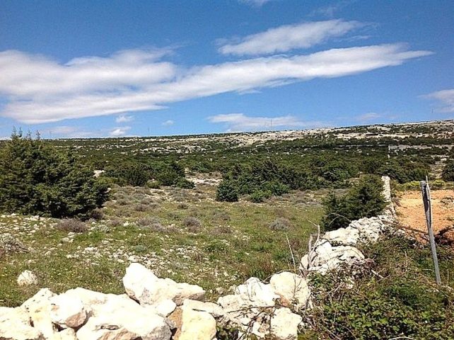 Terreno In vendita - Zadarska Pag - foto 5/5