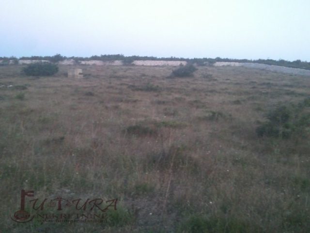 Land for sale 18365 m² – Novalja