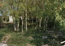 Land for sale 7500 m² – Novalja