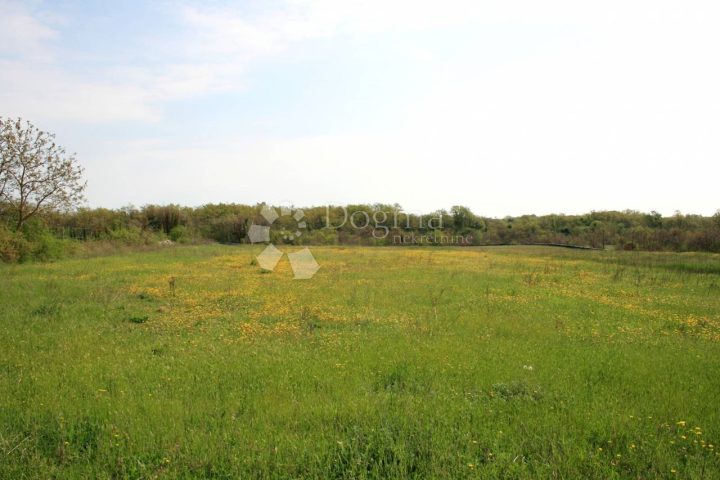 Pozemek Na prodej - Istarska Svetvinčenat - foto 2/8
