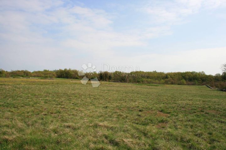 Pozemek Na prodej - Istarska Svetvinčenat - foto 3/8