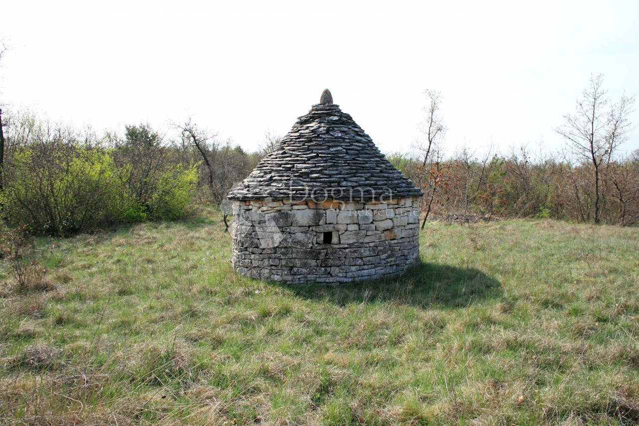 Pozemok Na predaj - ISTARSKA  SVETVINČENAT 