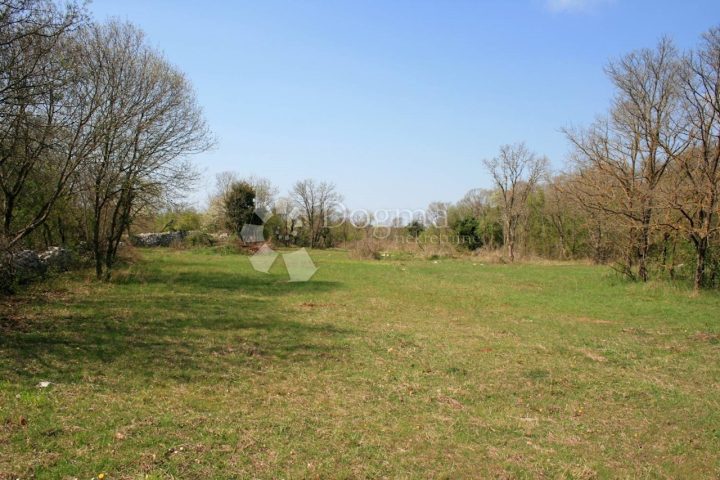 Parcela na predaj 6321 m² – Bale