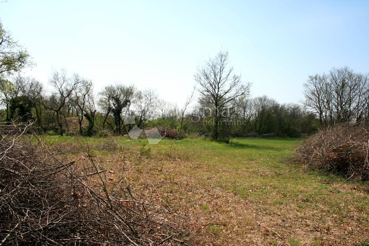 Terreno In vendita - ISTARSKA  Bale