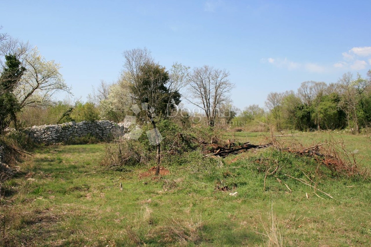 Pozemok Na predaj - ISTARSKA  BALE 