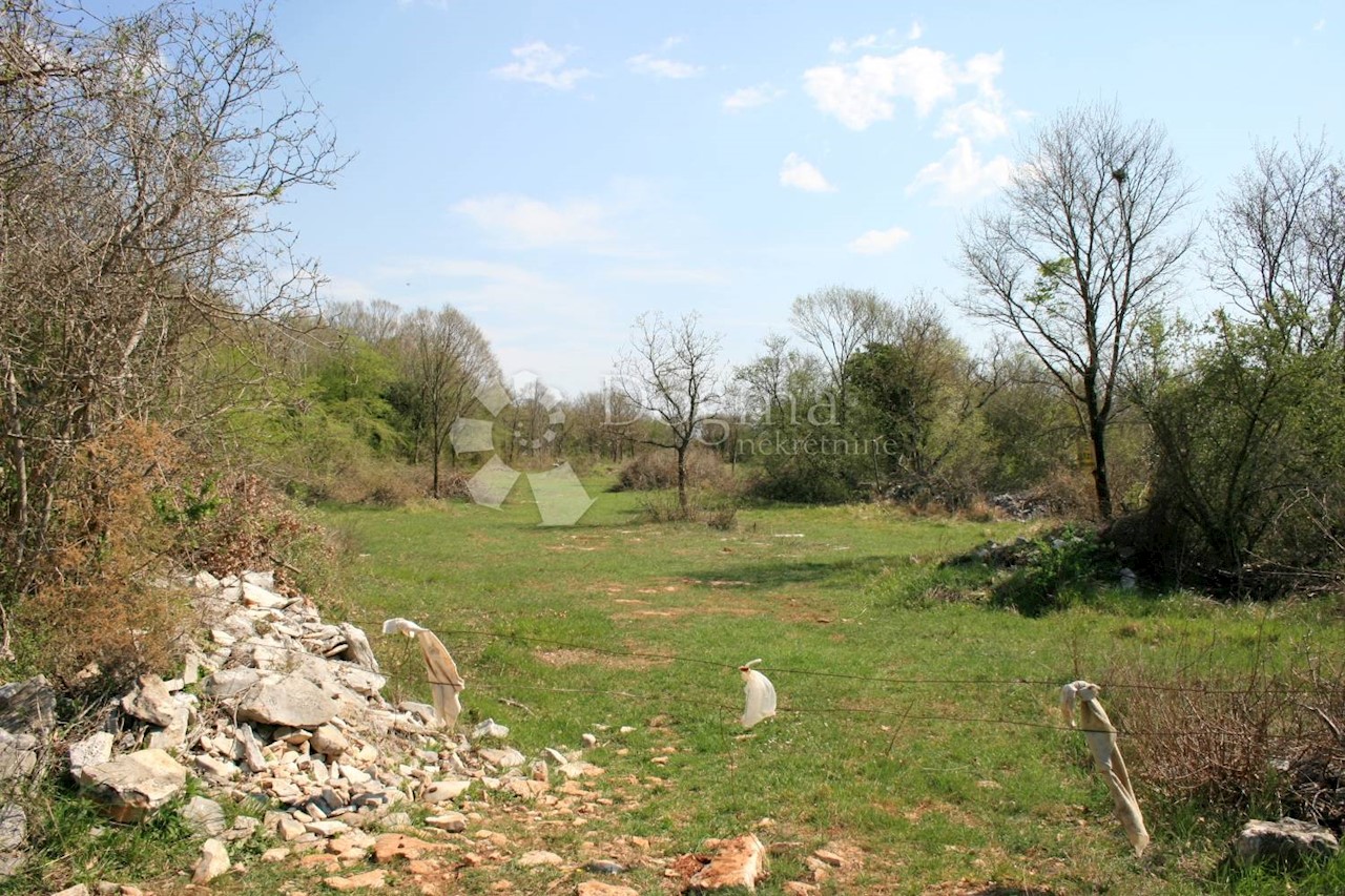 Pozemok Na predaj - ISTARSKA  BALE 