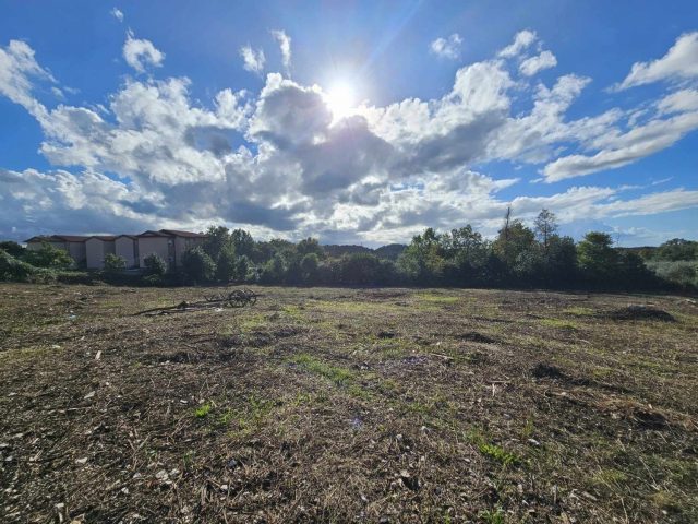 Terreno In vendita - Istarska Brtonigla - foto 3/5