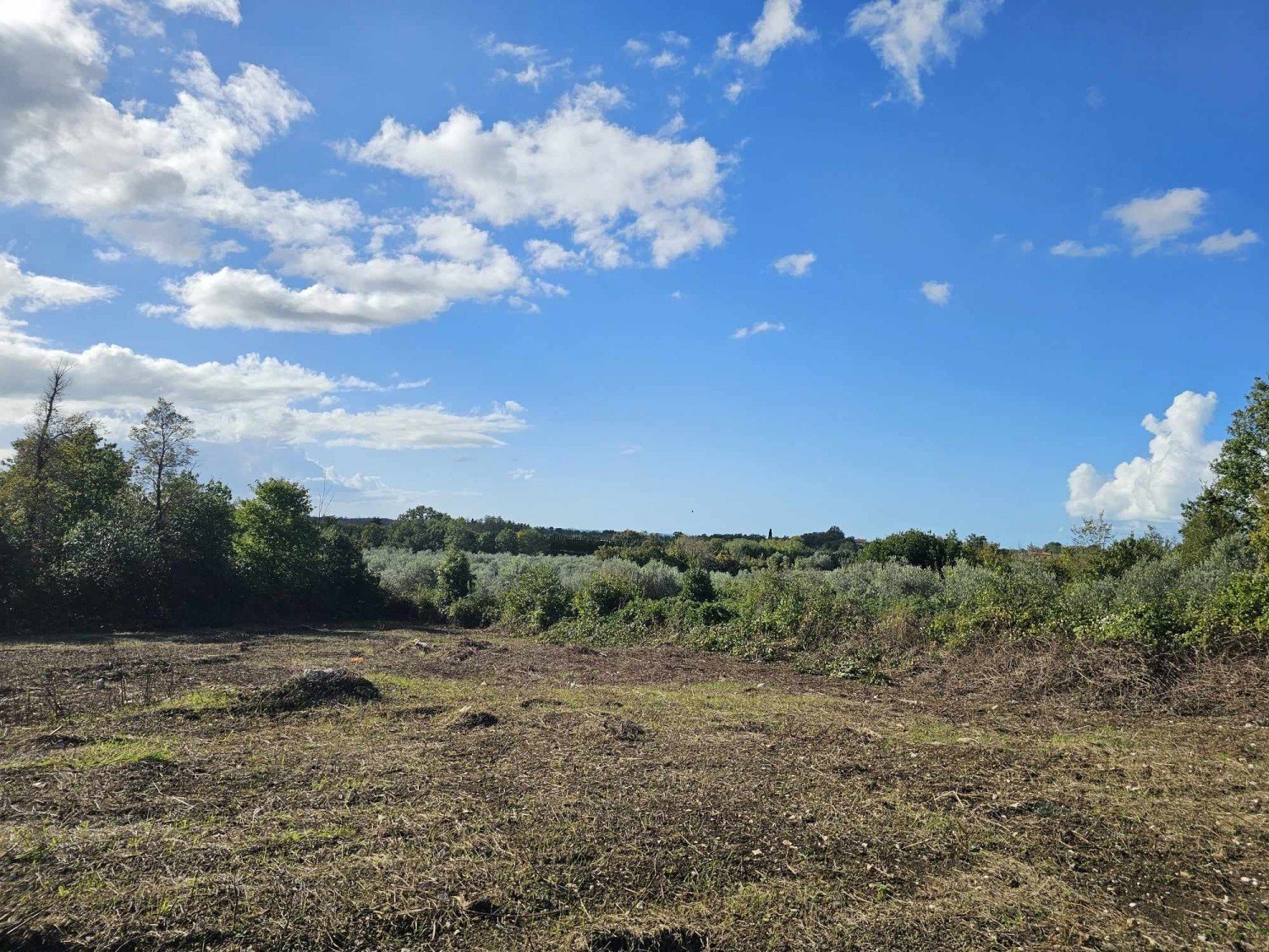 Terreno In vendita - ISTARSKA Brtonigla