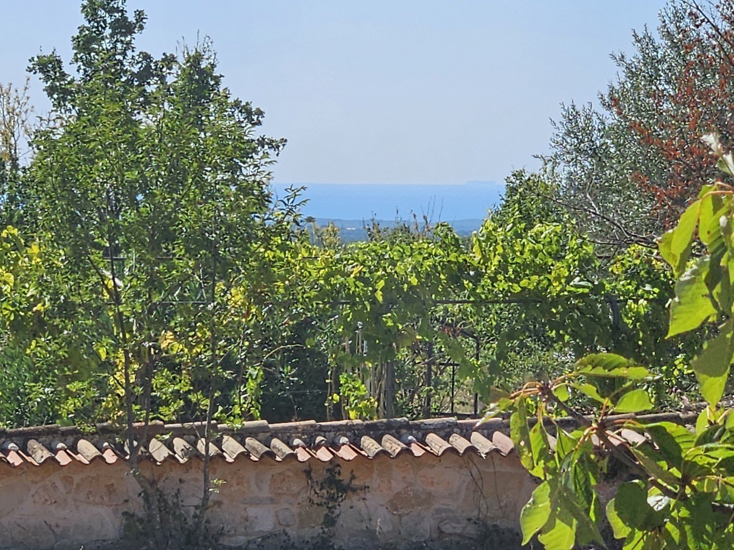 Terreno In vendita - Istarska Poreč - foto 1/3