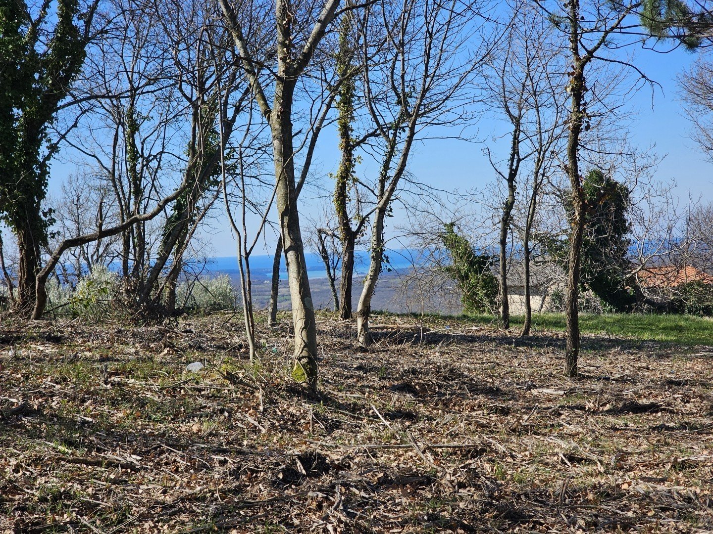 Terreno In vendita - ISTARSKA Buje