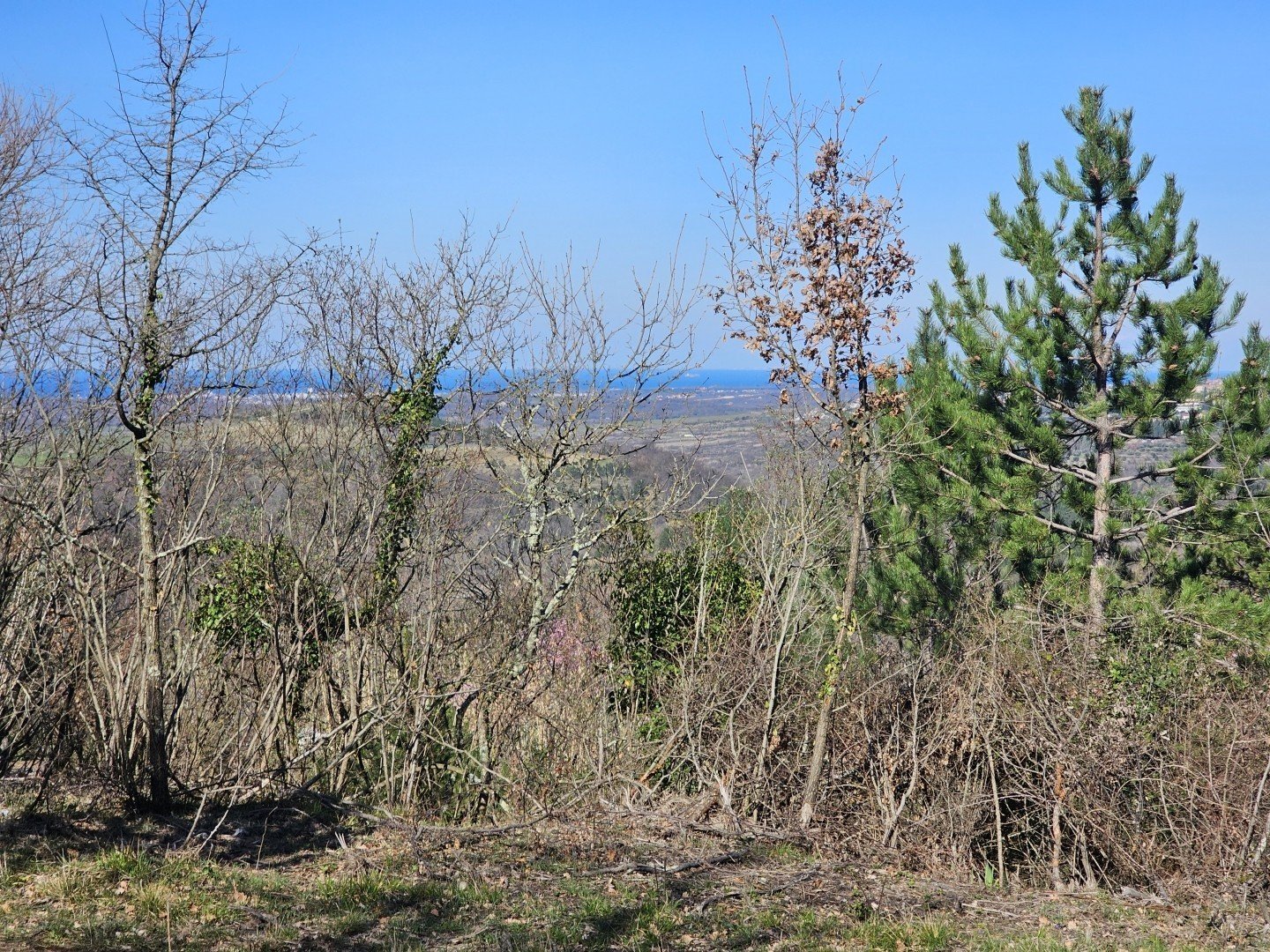 Terreno In vendita - ISTARSKA Buje
