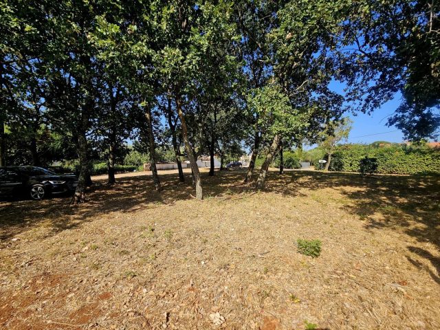 Terreno In vendita - Istarska Kaštelir-labinci - foto 2/3