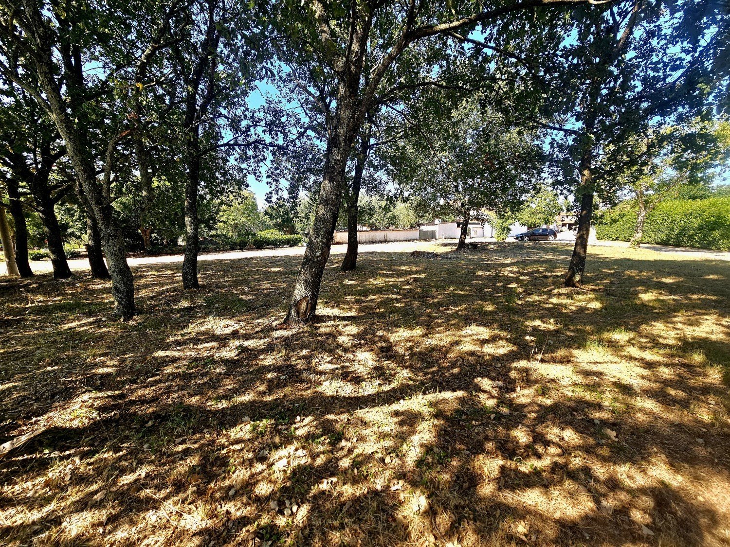 Terreno In vendita - Istarska Kaštelir-labinci - foto 1/3