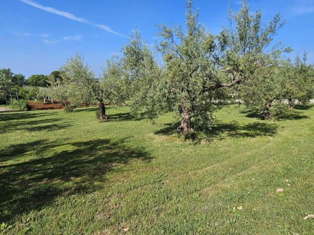 Terrain à vendre 677 m² – Kaštelir