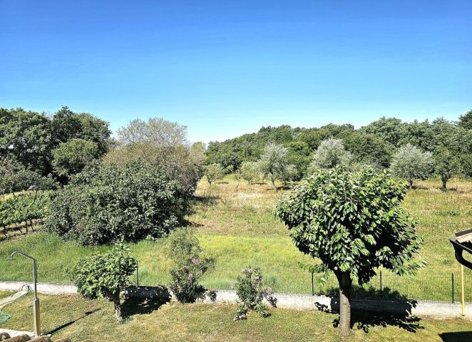 Casa In vendita - Istarska Sveti Lovreč - foto 5/11