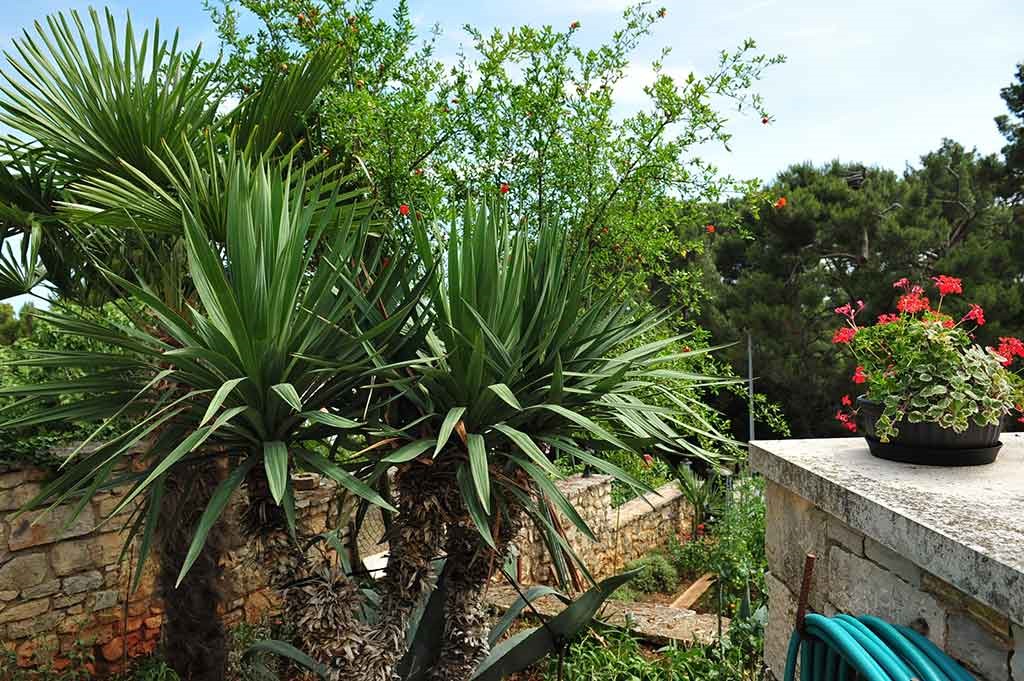 Casa In vendita - ISTARSKA  Rovinj