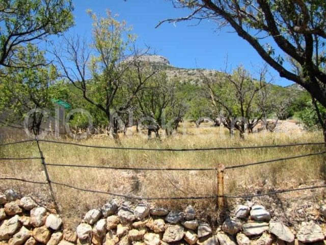 Land For sale - Splitsko-dalmatinska Brač - foto 2/2