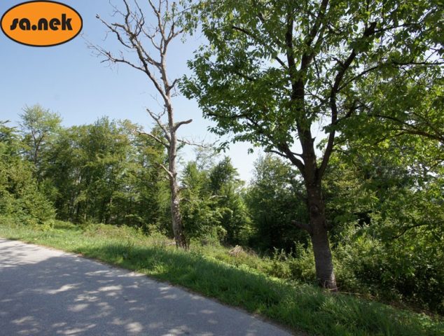 Parcela na predaj 3550 m² – Bregana