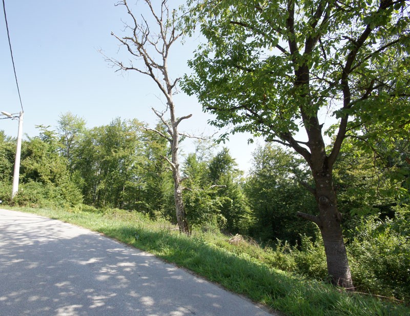 Terreno In vendita - ZAGREBAČKA  SAMOBOR 