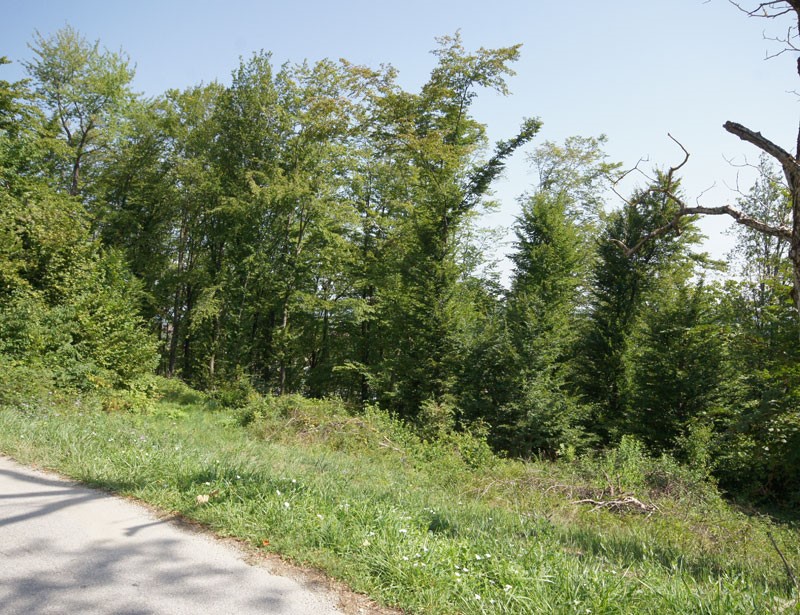 Terreno In vendita - ZAGREBAČKA  SAMOBOR 