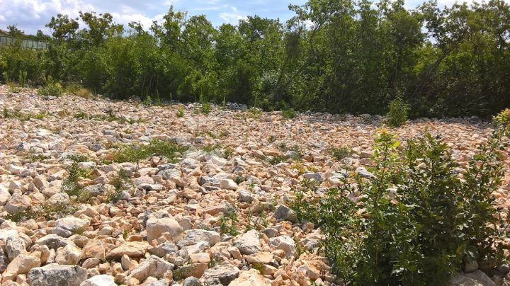Parcela na predaj 6294 m² – Blaževci